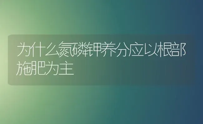 为什么氮磷钾养分应以根部施肥为主 | 种植肥料施肥