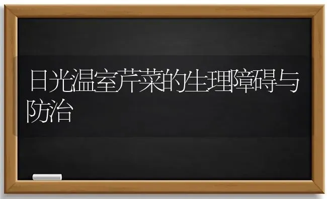 日光温室芹菜的生理障碍与防治 | 蔬菜种植