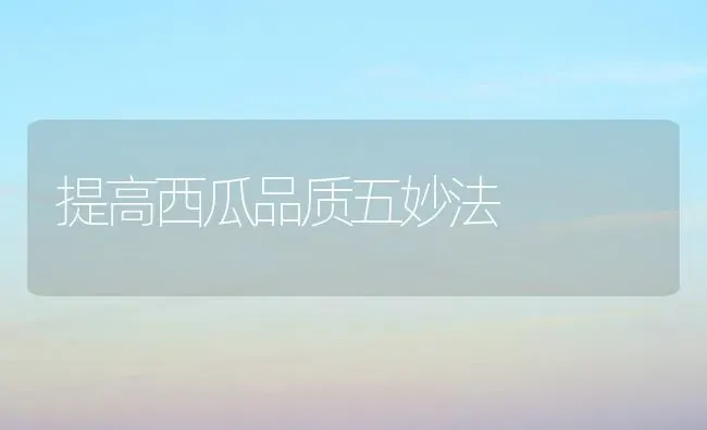 提高西瓜品质五妙法 | 瓜果种植
