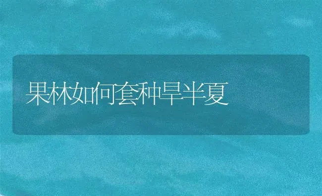 果林如何套种旱半夏 | 瓜果种植