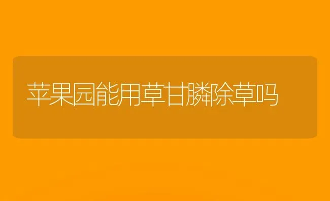 苹果园能用草甘膦除草吗 | 瓜果种植