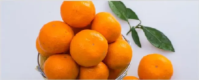 桔子冬天怕冻吗 | 种植技术