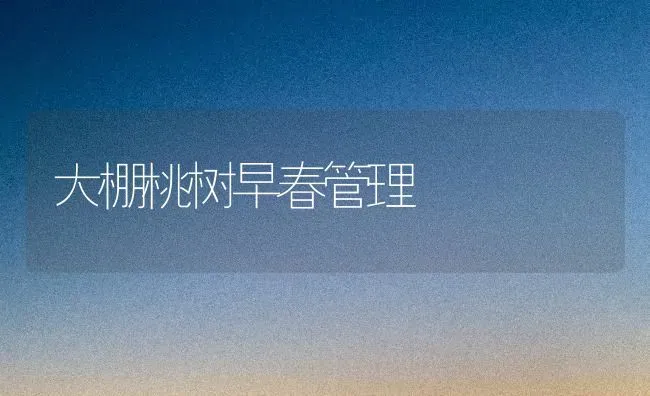 大棚桃树早春管理 | 瓜果种植