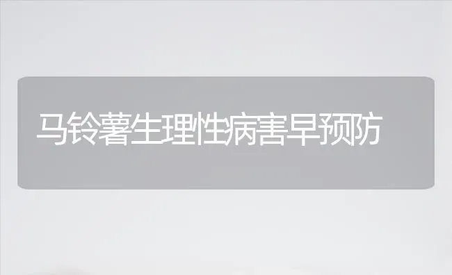 马铃薯生理性病害早预防 | 粮油作物种植