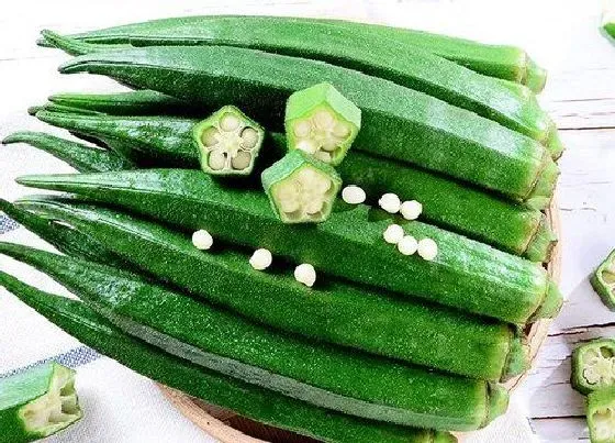 食用常识|秋葵需要去皮吗