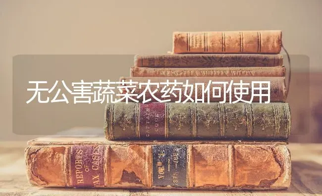 无公害蔬菜农药如何使用 | 蔬菜种植