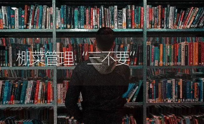 棚菜管理“三不要” | 蔬菜种植
