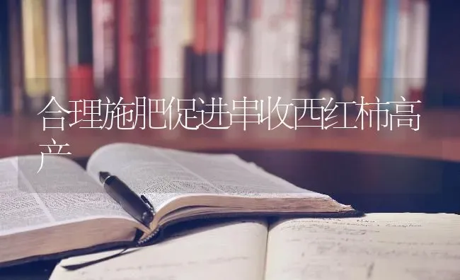 合理施肥促进串收西红柿高产 | 种植肥料施肥