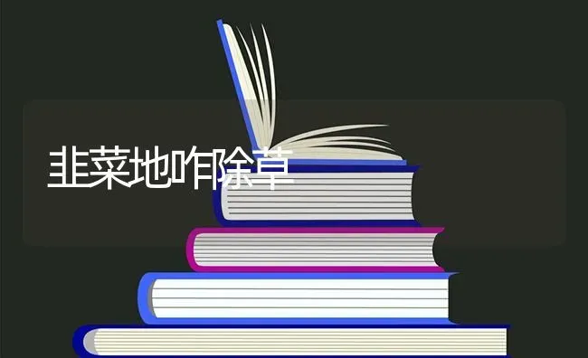 韭菜地咋除草 | 蔬菜种植