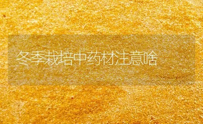 冬季栽培中药材注意啥 | 药材种植