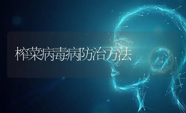 榨菜病毒病防治方法 | 蔬菜种植