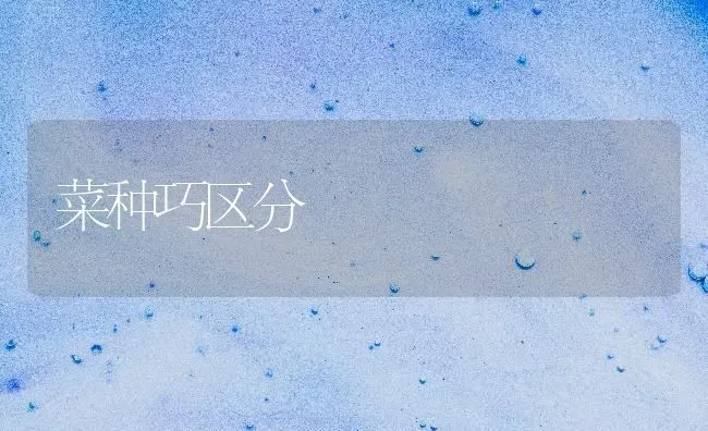 菜种巧区分 | 蔬菜种植