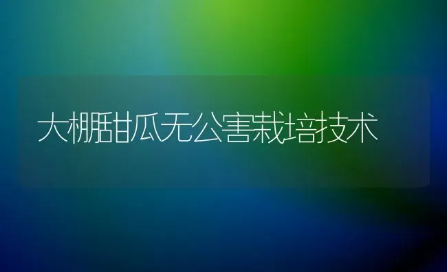 大棚甜瓜无公害栽培技术 | 瓜果种植