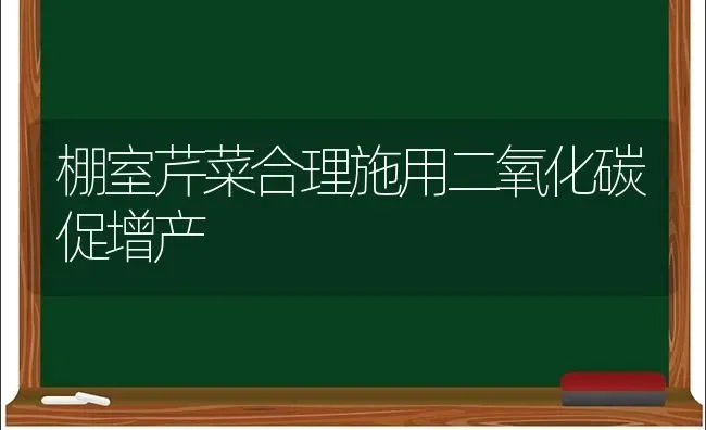 棚室芹菜合理施用二氧化碳促增产 | 蔬菜种植