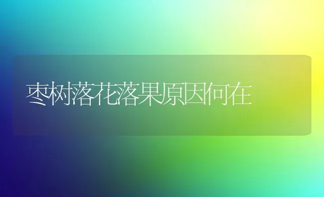 枣树落花落果原因何在 | 瓜果种植