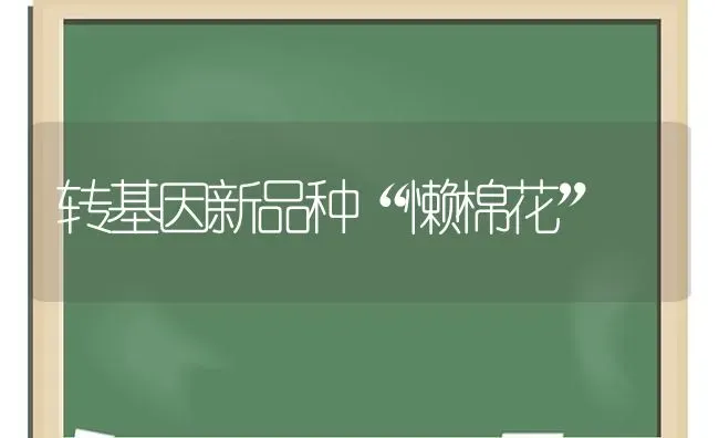 转基因新品种“懒棉花” | 粮油作物种植