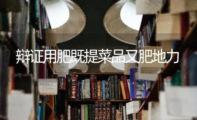 辩证用肥既提菜品又肥地力 | 蔬菜种植