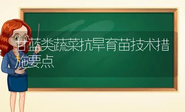 甘蓝类蔬菜抗旱育苗技术措施要点 | 蔬菜种植