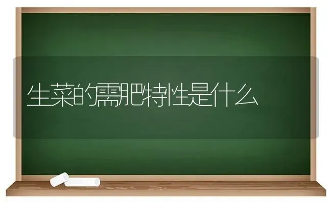 生菜的需肥特性是什么 | 蔬菜种植