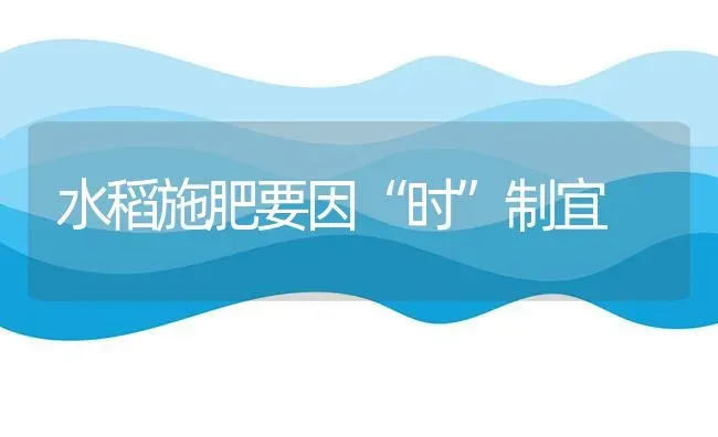 水稻施肥要因“时”制宜 | 粮油作物种植