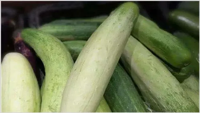 黄瓜空洞怎么办？种植上怎么预防 | 农业科普