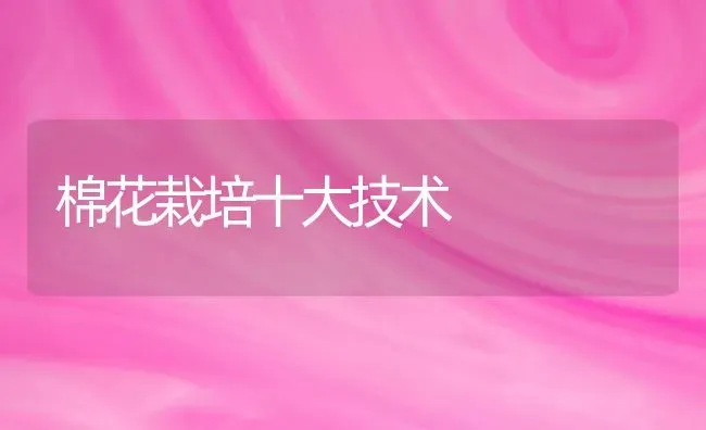 棉花栽培十大技术 | 粮油作物种植