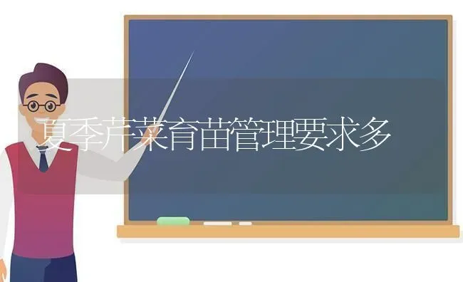 夏季芹菜育苗管理要求多 | 蔬菜种植