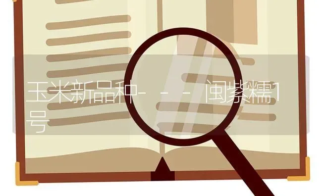 玉米新品种---闽紫糯1号 | 粮油作物种植