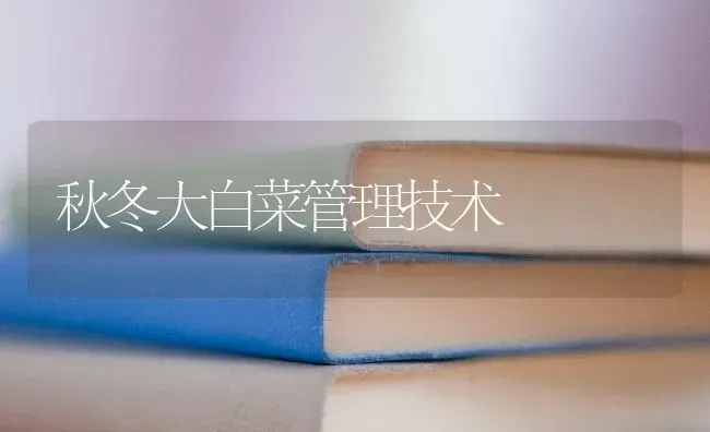 秋冬大白菜管理技术 | 蔬菜种植
