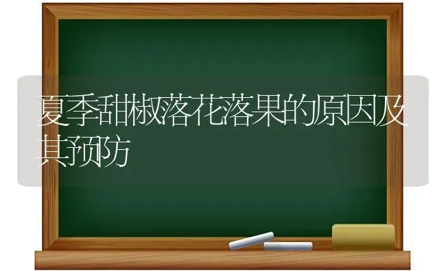 夏季甜椒落花落果的原因及其预防 | 瓜果种植