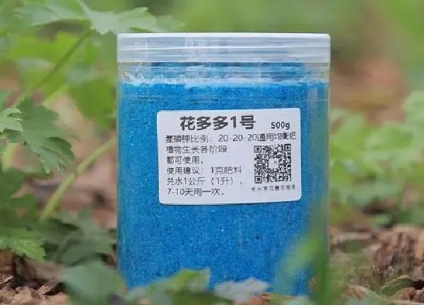 植物浇水|花多多1号可以浇多肉吗