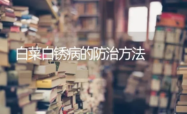 白菜白锈病的防治方法 | 蔬菜种植