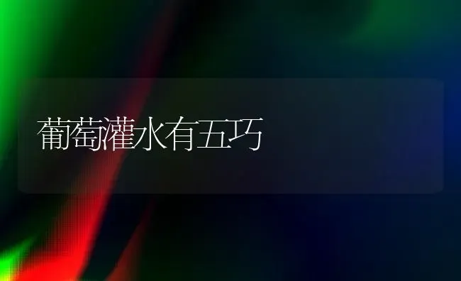 葡萄灌水有五巧 | 瓜果种植