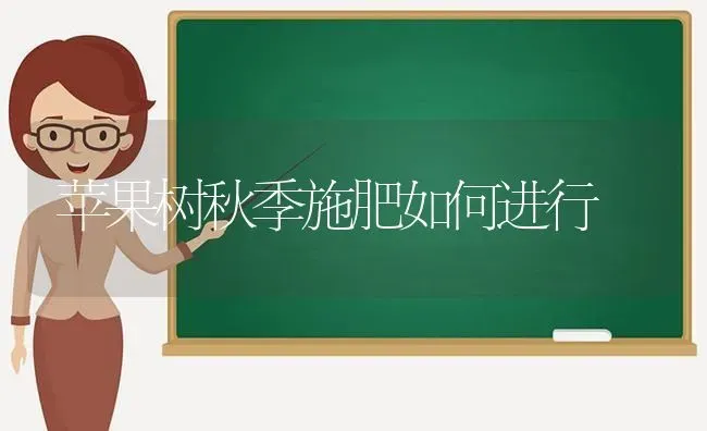 苹果树秋季施肥如何进行 | 瓜果种植