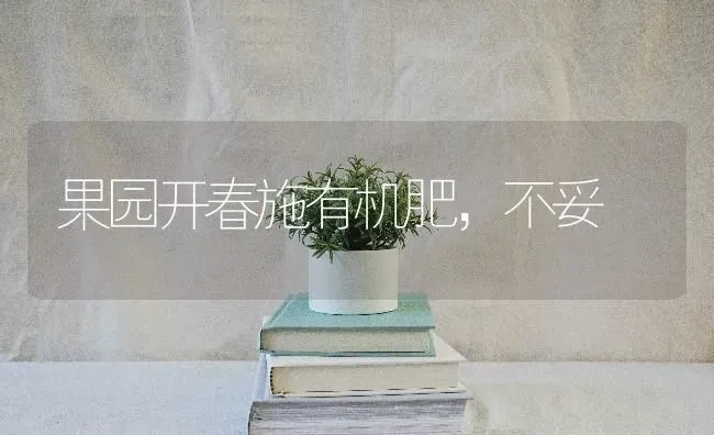 果园开春施有机肥，不妥 | 瓜果种植