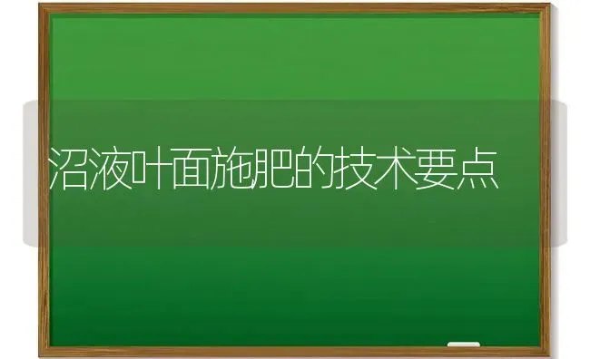 沼液叶面施肥的技术要点 | 种植肥料施肥