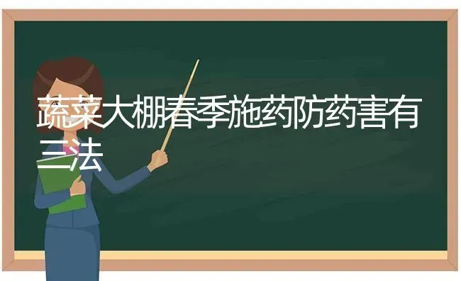 蔬菜大棚春季施药防药害有三法 | 蔬菜种植