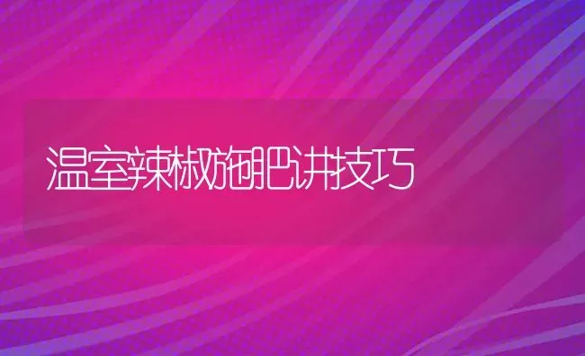 温室辣椒施肥讲技巧 | 种植肥料施肥