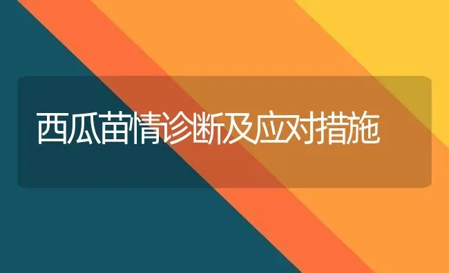 西瓜苗情诊断及应对措施 | 瓜果种植