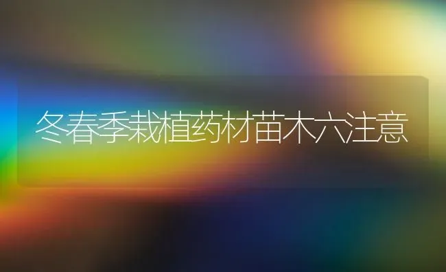 冬春季栽植药材苗木六注意 | 药材种植