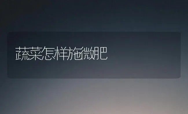 蔬菜怎样施微肥 | 蔬菜种植