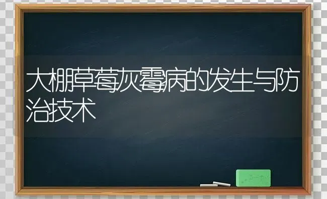 大棚草莓灰霉病的发生与防治技术 | 瓜果种植