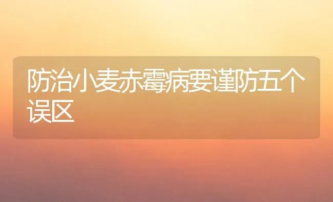 防治小麦赤霉病要谨防五个误区 | 粮油作物种植