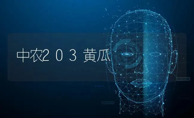 中农203黄瓜 | 蔬菜种植