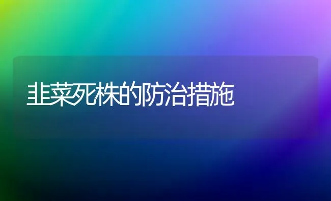 韭菜死株的防治措施 | 蔬菜种植