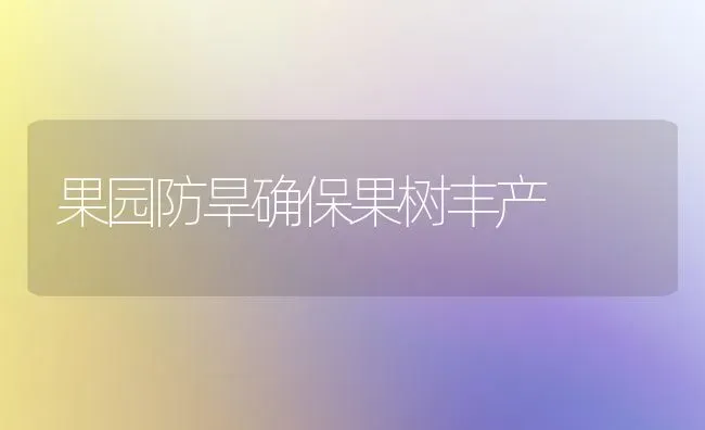 果园防旱确保果树丰产 | 瓜果种植