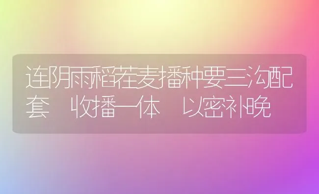 葡萄全周年管理技术 | 瓜果种植