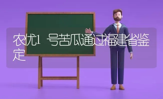 农优1号苦瓜通过福建省鉴定 | 蔬菜种植