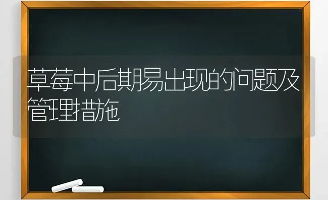 草莓中后期易出现的问题及管理措施 | 瓜果种植