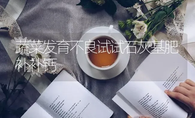 蔬菜发育不良试试石灰基肥补补钙 | 蔬菜种植